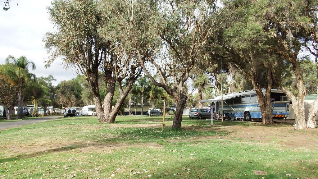 Hotel Australind Tourist Park Exterior foto